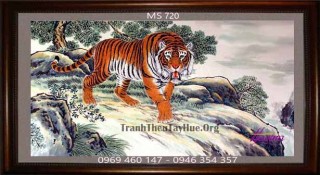 Tranh thêu con hổ MS 720